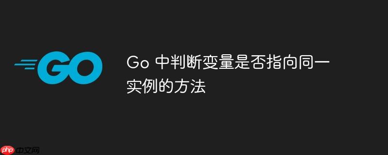 go 中判断变量是否指向同一实例的方法