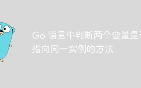 Go 语言中判断两个变量是否指向同一实例的方法