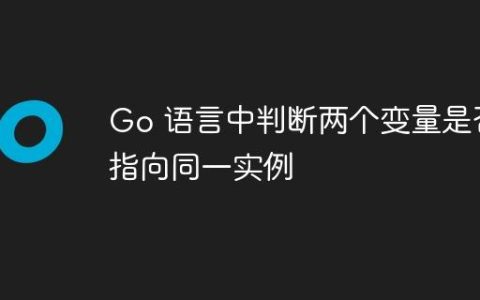 Go 语言中判断两个变量是否指向同一实例