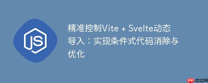 精准控制Vite + Svelte动态导入:实现条件式代码消除与优化