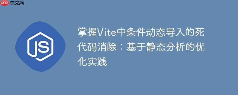 掌握Vite中条件动态导入的死代码消除:基于静态分析的优化实践
