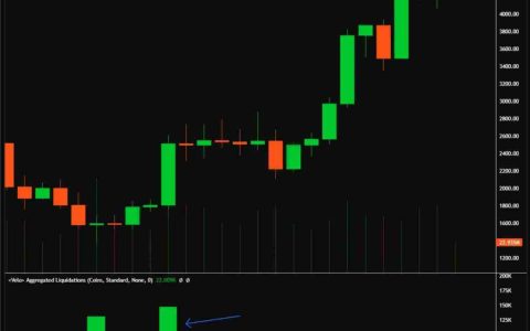 CoinShares深度分析：关于近期以太坊（ETH）和山寨币的一些快速思考