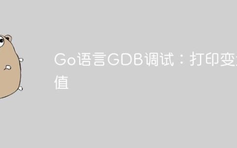 Go语言GDB调试：打印变量值