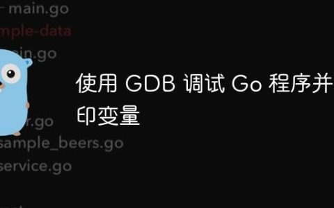 使用 GDB 调试 Go 程序并打印变量