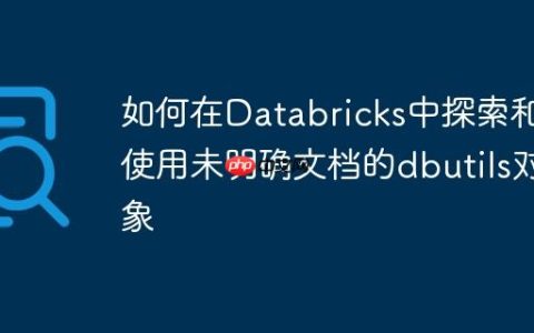 如何在Databricks中探索和使用未明确文档的dbutils对象