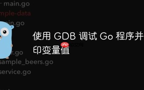 使用 GDB 调试 Go 程序并打印变量值