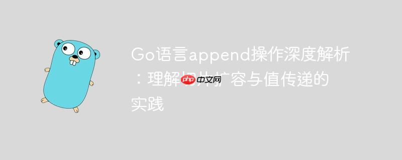 Go语言append操作深度解析:理解切片扩容与值传递的实践