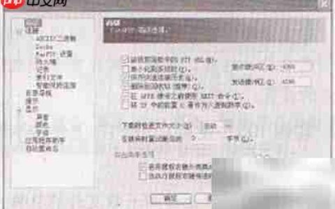 FTP剪贴板监视功能使用指南