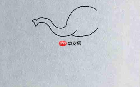小象弹钢琴简笔画教程
