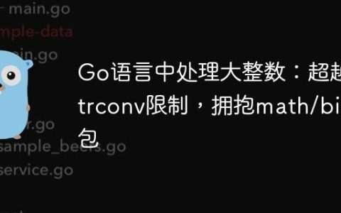Go语言中处理大整数：超越strconv限制，拥抱math/big包