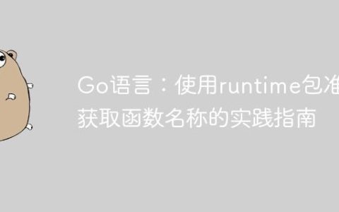Go语言：使用runtime包准确获取函数名称的实践指南