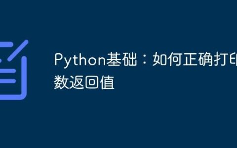 Python基础：如何正确打印函数返回值