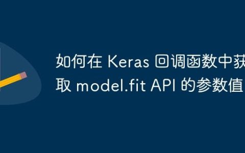 如何在 Keras 回调函数中获取 model.fit API 的参数值