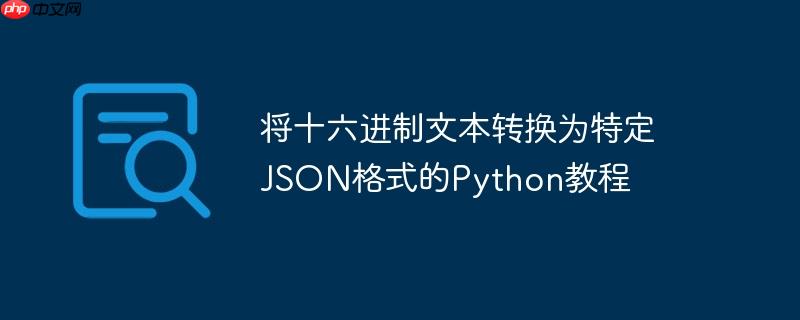 将十六进制文本转换为特定json格式的python教程