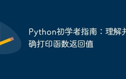 Python初学者指南：理解并正确打印函数返回值
