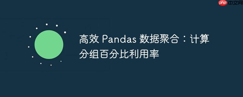 高效 pandas 数据聚合:计算分组百分比利用率