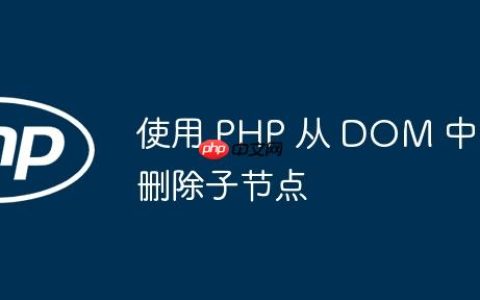使用 PHP 从 DOM 中删除子节点