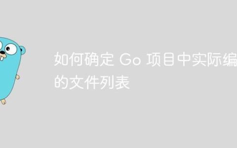 如何确定 Go 项目中实际编译的文件列表