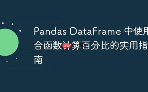 Pandas DataFrame 中使用聚合函数计算百分比的实用指南