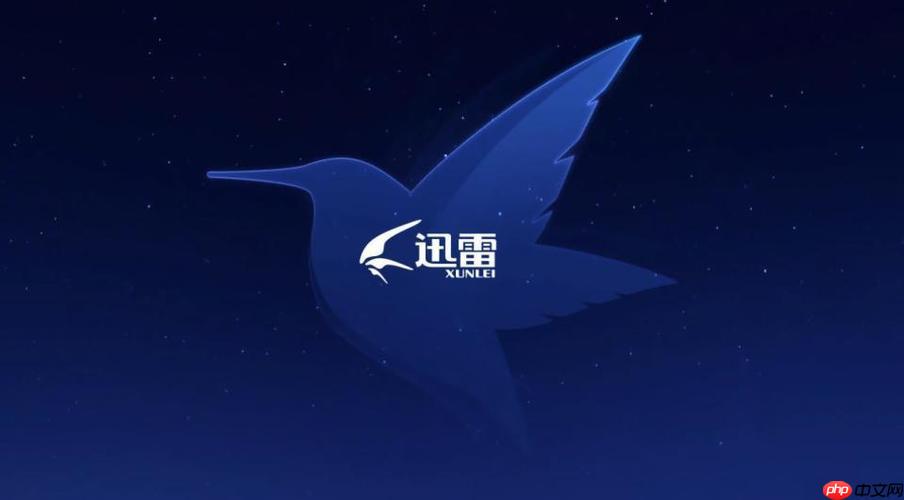 迅雷网盘下载速度慢怎么办_迅雷网盘提升下载速度的几种方法