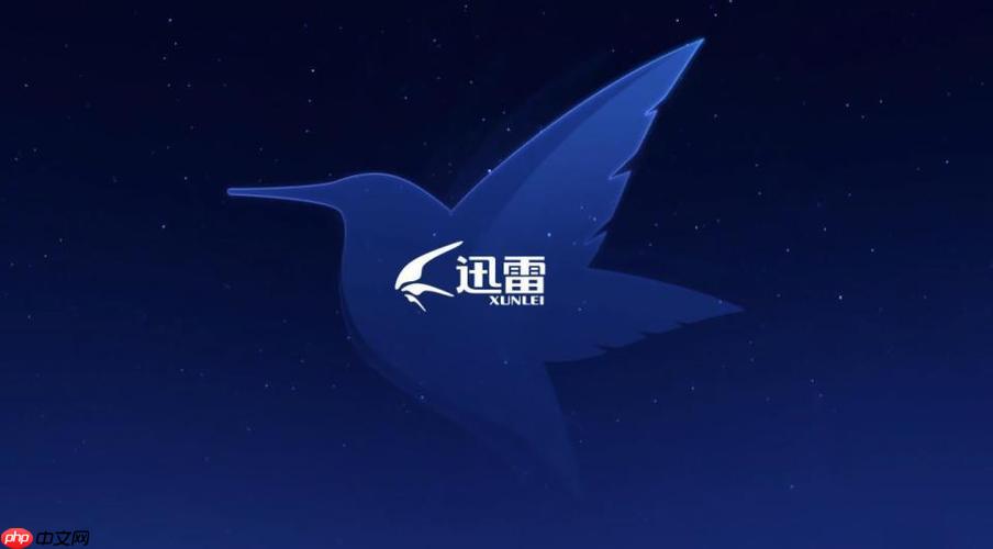 迅雷网盘手机APP怎么使用_迅雷网盘手机端功能使用完整指南