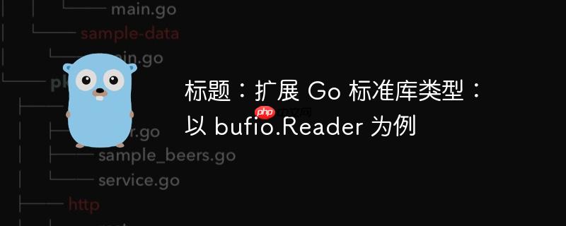 标题:扩展 go 标准库类型:以 bufio.reader 为例