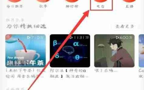 网易云音乐手机版电台播放指南