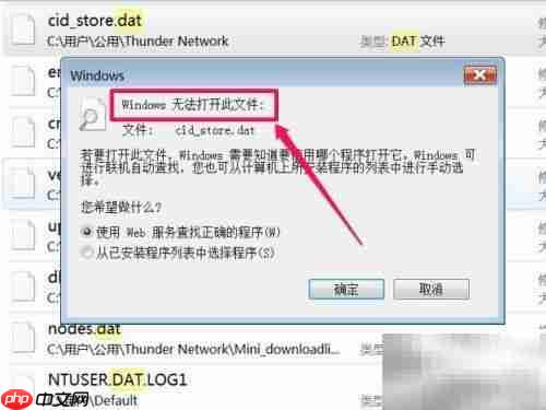 如何打开DAT文件