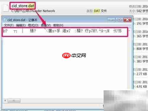 如何打开DAT文件