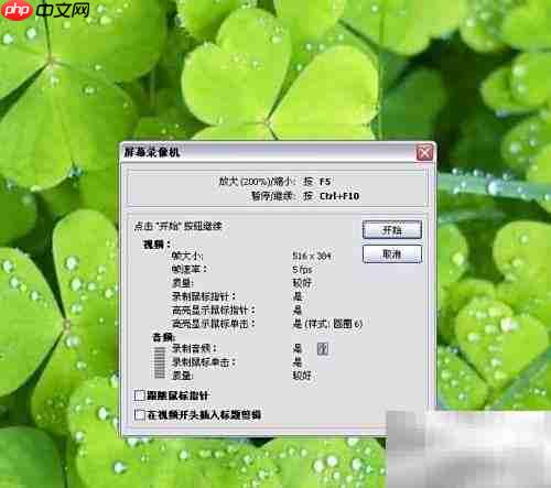 FastStone录屏操作指南
