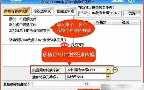 RM转AVI：快速格式转换方法