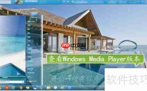 Windows Media Player版本查看