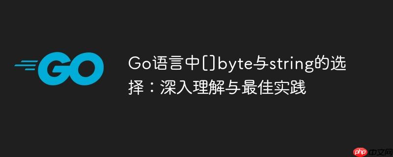 Go语言中[]byte与string的选择：深入理解与最佳实践