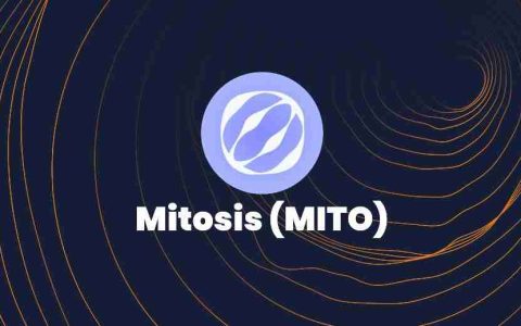 什么是Mitosis (MITO)币？值得买吗？MITO代币经济学及价格预测