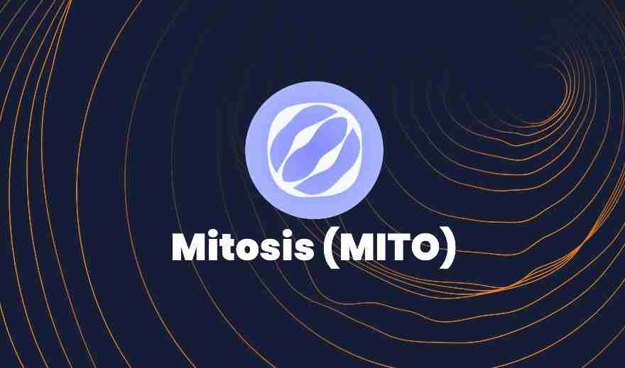 什么是Mitosis (MITO)币?值得买吗?MITO代币经济学及价格预测