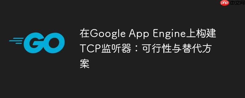 在Google App Engine上构建TCP监听器:可行性与替代方案