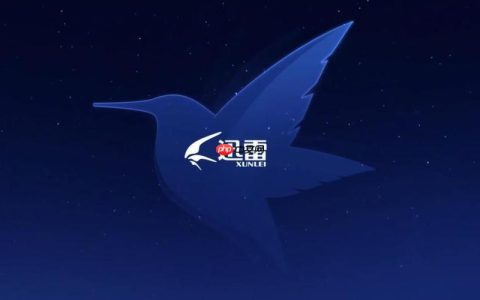 迅雷网盘文件怎么分类管理_迅雷网盘文件夹创建与分类技巧