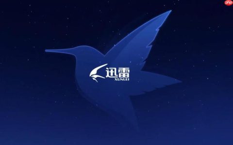 迅雷网盘会员怎么开通_迅雷网盘会员开通流程与特权介绍