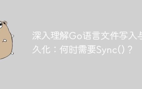 深入理解Go语言文件写入与持久化：何时需要Sync()？