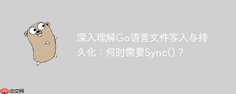 深入理解Go语言文件写入与持久化:何时需要Sync()?