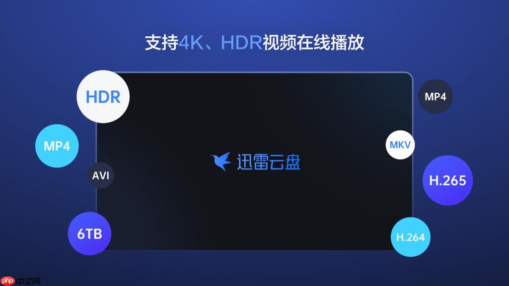 迅雷网盘下载失败怎么办_迅雷网盘下载失败原因与解决措施