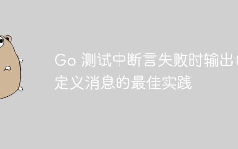 Go 测试中断言失败时输出自定义消息的最佳实践