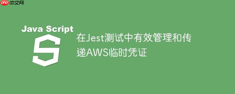 在jest测试中有效管理和传递aws临时凭证
