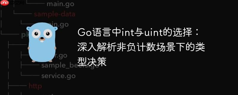 Go语言中int与uint的选择:深入解析非负计数场景下的类型决策