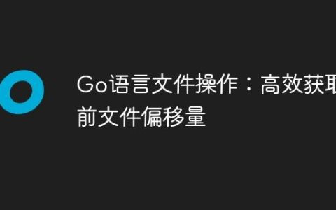 Go语言文件操作：高效获取当前文件偏移量