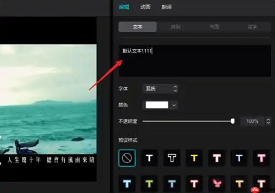 怎么在剪映专业版中添加字幕?剪映专业版中添加字幕的步骤