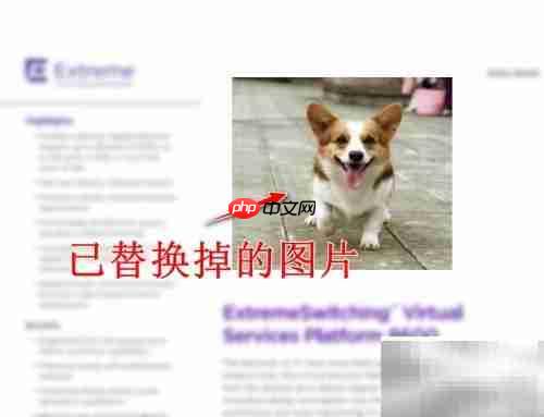 Foxit替换PDF图片教程