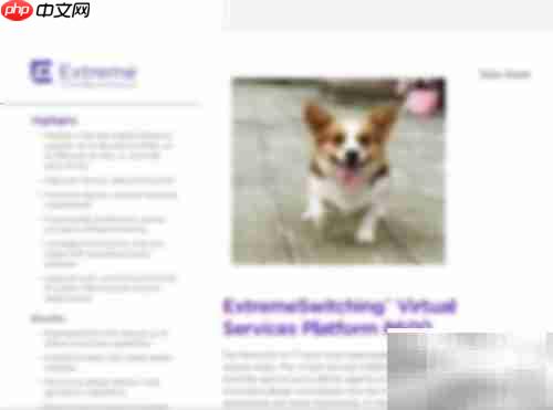 Foxit替换PDF图片教程