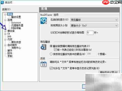 RealPlayer更改临时文件路径