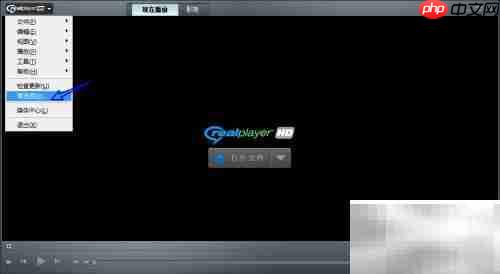RealPlayer更改临时文件路径